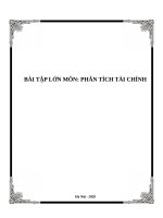 Phân tích tài chính tổng hợp công ty cổ phần quốc tế Sơn Hà