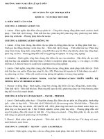 Đề cương ôn tập học kì 2 môn Hóa lớp 11 năm 2019 - 2020 THPT Lê Quý Đôn chi tiết | Hóa học, Lớp 11 - Ôn Luyện