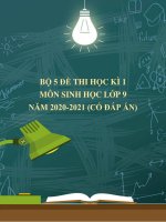 Bộ 5 đề thi học kì 1 môn Sinh học lớp 9 năm 2020-2021 (Có đáp án)