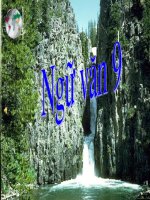 Bai tho ve tieu doi xe khong kinh