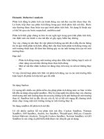 Dynamic (behavior) analysis <>