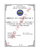 Luận văn kinh tế NGHIÊN CỨU YẾU TỐ ẢNH HƯỞNG ĐẾN QUYẾT ĐỊNH MUA BẢO HIỂM VẬT CHẤT XE Ô TÔ TẠI CÔNG TY BẢO HIỂM PVI HUẾ