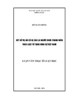Xét xử vụ án có bị cáo người chưa thành niên theo luật tố TụnG hình Việt Nam LUẬN VĂN THẠC SĨ LUẬT HỌC