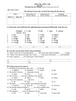 Đề thi thử vào lớp 10 môn Anh năm 2020 - 2021 có đáp án - Đề số 1 | Tiếng Anh, Đề thi vào lớp 10 - Ôn Luyện