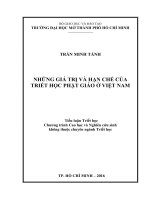 NHỮNG GIÁ TRỊ VÀ HẠN CHẾ CỦA TRIẾT HỌC PHẬT GIÁO Ở VIỆT NAM Tiểu luận Triết học Chương trình Cao học Nghiên cứu sinh không thuộc chuyên ngành Triết học