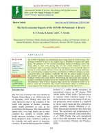 The socio-economic impacts of the COVID-19 pandemic: A review