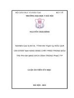 Nghiên cứu đánh giá tính an toàn và hiệu quả của stent đổi hướng dòng chảy FRED trong điều trị phình động mạch cảnh trong phức tạp 