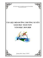 TÀI LIỆU BỒI DƯỠNG THƯỜNG XUYÊN GIÁO DỤC MẦM NON NĂM HỌC 2019-2020