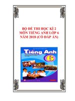 Bộ đề thi học kì 2 môn Tiếng Anh lớp 6 năm 2017-2018 có đáp án