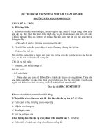 Đề thi học kì 1 môn Tiếng Việt lớp 2 năm 2017-2018 – Trường Tiểu học Minh Thuận