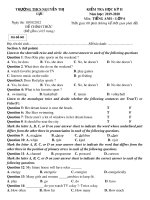 Đề thi học kì 2 môn Tiếng Anh lớp 6 năm 2019-2020 có đáp án - Trường THCS Nguyễn Thị Lựu