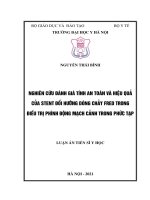 Nghiên cứu đánh giá tính an toàn và hiệu quả của stent đổi hướng dòng chảy FRED trong điều trị phình động mạch cảnh trong phức tạp 