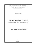 Đặc điểm ngữ nghĩa của từ ngữ trong ca dao tình yêu người Việt .
