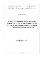 Nghiên cứu tính kháng kháng sinh nhóm beta lactam và gen mã hóa beta lactamase của escherichia coli và klebsiella pneumoniae ở bệnh nhân nhiễm khuẩn huyết 