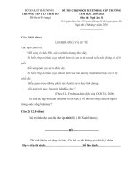 Đề thi chọn đội tuyển HSG cấp trường môn Ngữ văn 11 năm 2020-2021 – Trường THPT Lý Thái Tổ