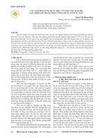 Các giải pháp ứng dụng hoa văn dân tộc Dao đỏ vào thiết kế trang phục công sở nữ tuổi từ 25-35