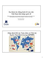 Dự đoán tác động kinh tế của việcViệt Nam hội nhập quốc tế