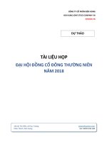 CÔNG TY CỔ PHẦN KIÊN HÙNG KIEN HUNG JOINT STOCK COMPANY VN KIHUSEA VN DỰ THẢO TÀI LIỆU HỌP ĐẠI HỘI ĐỒNG CỔ ĐÔNG THƯỜNG NIÊN NĂM 2018