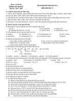 Đề cương ôn tập học kì 2 môn Hoá lớp 11 năm 2019 - 2020 THPT Việt Đức chi tiết | Hóa học, Lớp 11 - Ôn Luyện