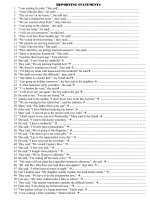 Reporting statements