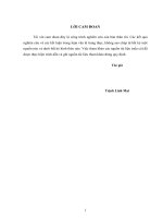 Luận văn giải pháp nâng cao năng lực cạnh tranh của công ty cổ phần tin học, công nghệ, môi trường   vinacomin 