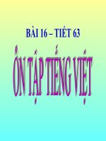 Slide bài Ôn tập và kiểm tra phần tiếng Việt - Ngữ văn 8