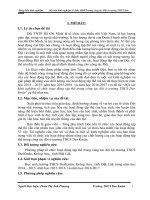 SKKN: Một vài kinh nghiệm tổ chức hoạt động tập thể trong công tác đội ở trường THCS Dur kmăn