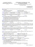 Đề kiểm tra HK 1 môn Sinh học lớp 12 năm 2017-2018 - THPT Yên Lạc 2 - Mã đề 357