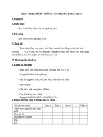 Giáo án Công nghệ 10 bài 14: Thực hành - Trồng cây trong dung dịch