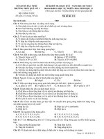 Đề kiểm tra HK1 môn Sinh học lớp 11 năm 2017-2018 - THPT Quế Võ 1 - Mã đề 111