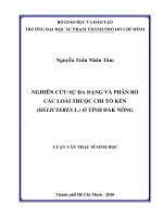 Nghiên cứu sự đa dạng và phân bố các loài thuộc chi tổ kén (helicteres l ) ở tỉnh đắk nông  