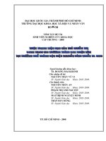 Thực trạng việc học của trẻ khiếm thị đang tham gia chương trình can thiệp sớm tại trường phổ thông đặc biệt nguyễn đình chiểu, tp  hcm    đề tài sinh viên nghiên cứu khoa học cấp trường năm 2008  