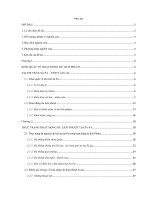 Tìm hiểu hoạt động du lịch phượt tại thị trấn Sa Pa  tỉnh Lào Cai