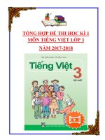 Tổng hợp đề thi học kì 1 môn Tiếng Việt lớp 3 năm 2017-2018
