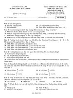 Đề kiểm tra 1 tiết bài số 1 môn Vật lí lớp 10 năm 2017-2018 - THPT Ngô Gia Tự - Mã đề 001