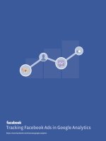 Tracking facebook ads in google analytics 