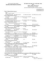 Đề kiểm tra HK1 môn tiếng Anh lớp 10 năm 2017 - THPT Phạm Văn Đồng - Mã đề 357