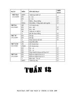 giao an 1 tuan 18 ckt