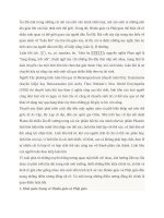 luân hồi trong hidu và trong phật giáo