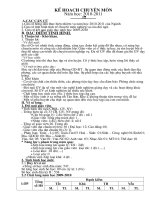 ke hoach chuyen mon 1011