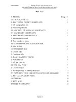 Sáng kiến kinh nghiệm THCS: Hướng dẫn học sinh phương pháp làm một số dạng bài tập về sơ đồ phả hệ trong Sinh học 9