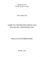 Nghiên cứu tình hình phát triển du lịch quận sơn trà– thành phố đà nẵng 