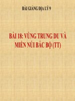 Bài giảng Địa lý 9 bài 18: Vùng trung du và miền núi Bắc Bộ (tt)