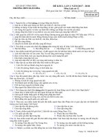 Đề khảo sát chất lượng lần 1 năm 2017-2018 môn Lịch sử lớp 12 - THPT Xuân Hòa - Mã đề 207