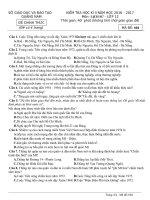 Đề thi HK 2 môn Lịch sử lớp 12 năm 2017 - Sở GD&ĐT Quảng Nam - Mã đề 604