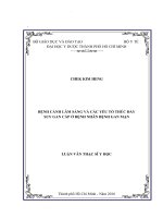 Bệnh cảnh lâm sàng và các yếu tố thúc đẩy suy gan cấp ở bệnh nhân bệnh gan mạn 