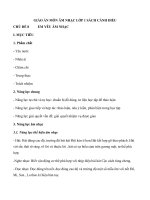 Giáo án môn Âm nhạc lớp 1 sách Cánh Diều - Chủ đề 8: Em yêu âm nhạc