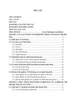 Tăng cường hoạt động marketing của agribank chi nhánh tỉnh quảng ninh (tt) 