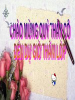 Bài giảng Lịch sử 10 bài 13: Việt Nam thời nguyên thủy