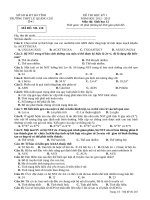 Đề thi HK 1 môn Sinh học 12 năm 2013 - THPT Lê Quảng Chí - Mã đề 210